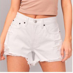 Abercrombie & Fitch Curve Love Mid Rise Boyfriend Shorts - Size 29 (size 8)